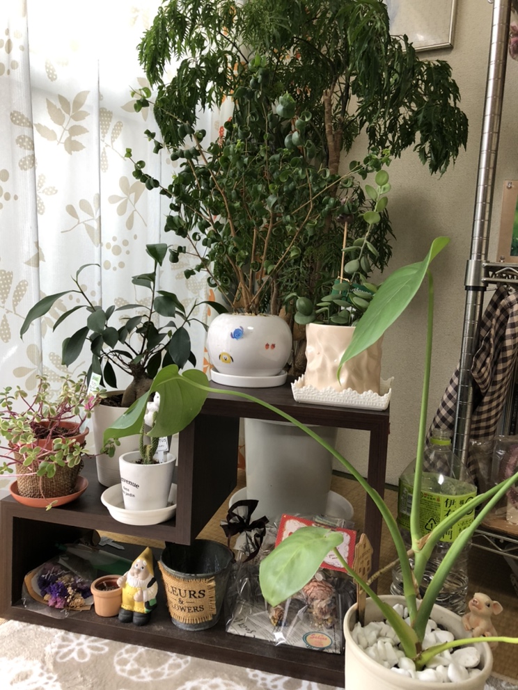 友引について。