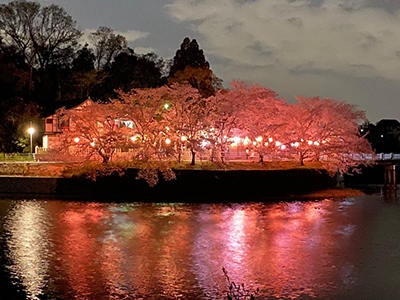 【奈良市学園前ホール】お花で癒される