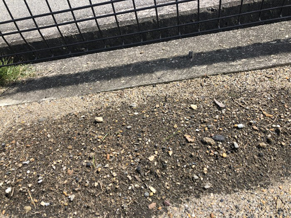 副葬品について