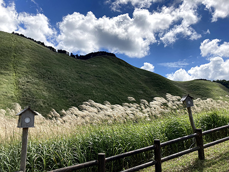 【瓢箪山メモリアルホール】久しぶりの家族旅行